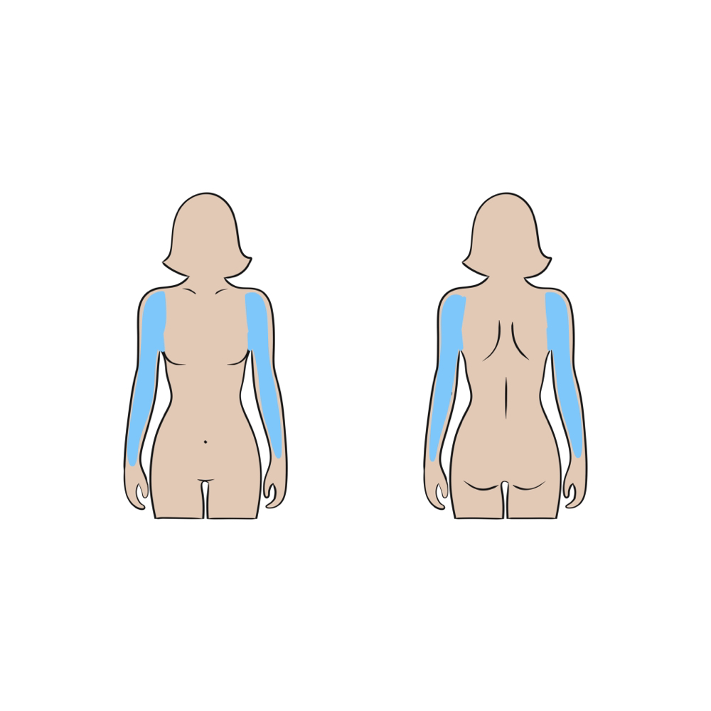 Upper Body