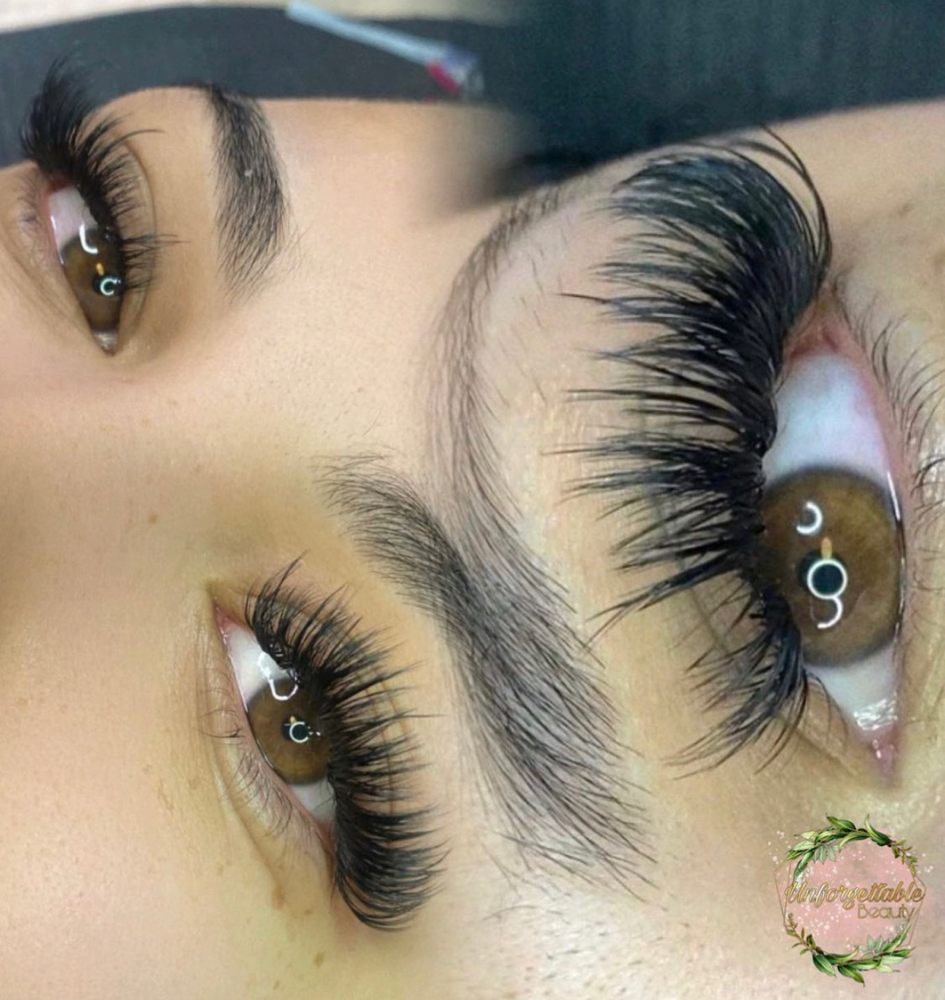 Volume Lashes