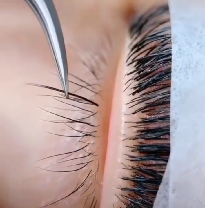 Bottom Lashes Fill $15.