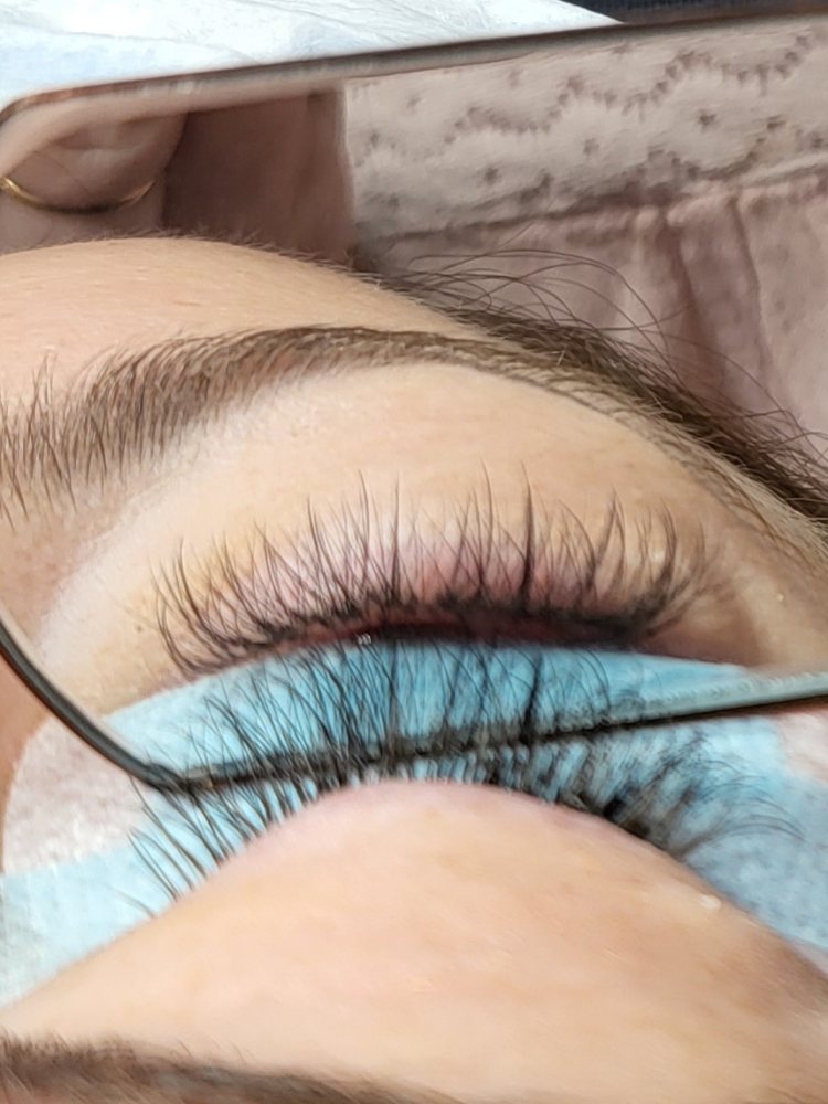 Hybrid Lashes