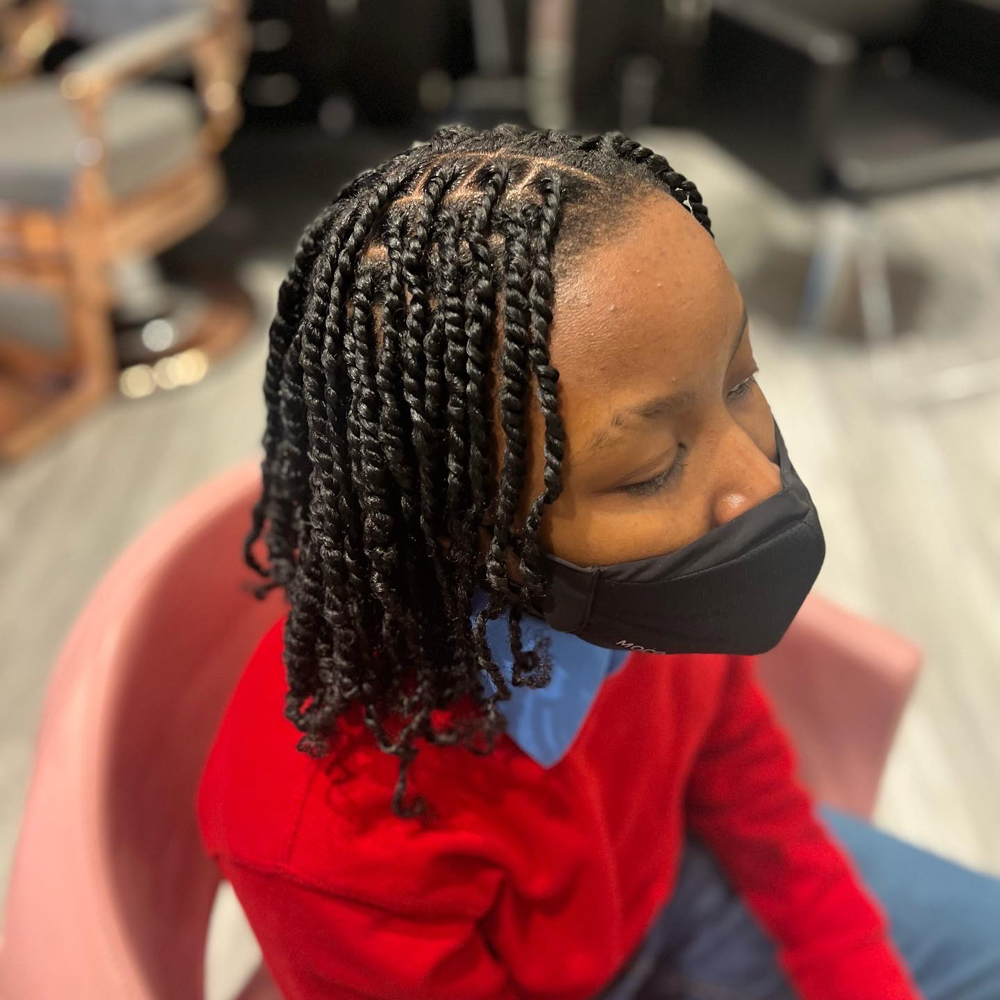 2 Strand Twists Natural Hair
