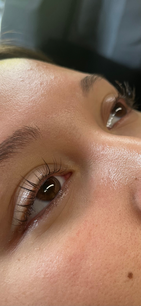 Lash Lifts And Tint