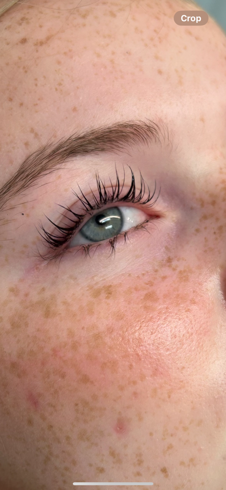 Lash Tint