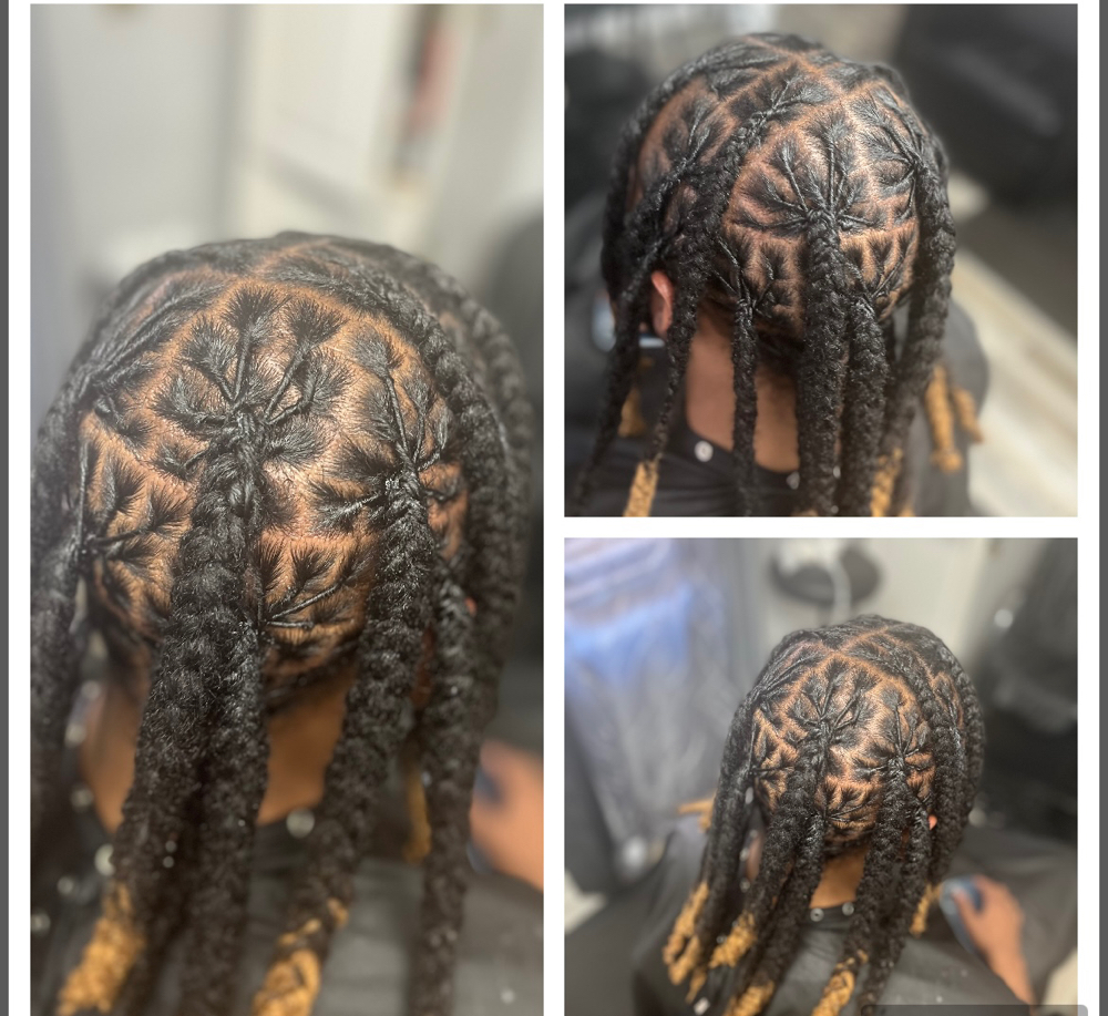 Retwist W Jumbo Plat Braids at Revamped By Riki in Ok, OK