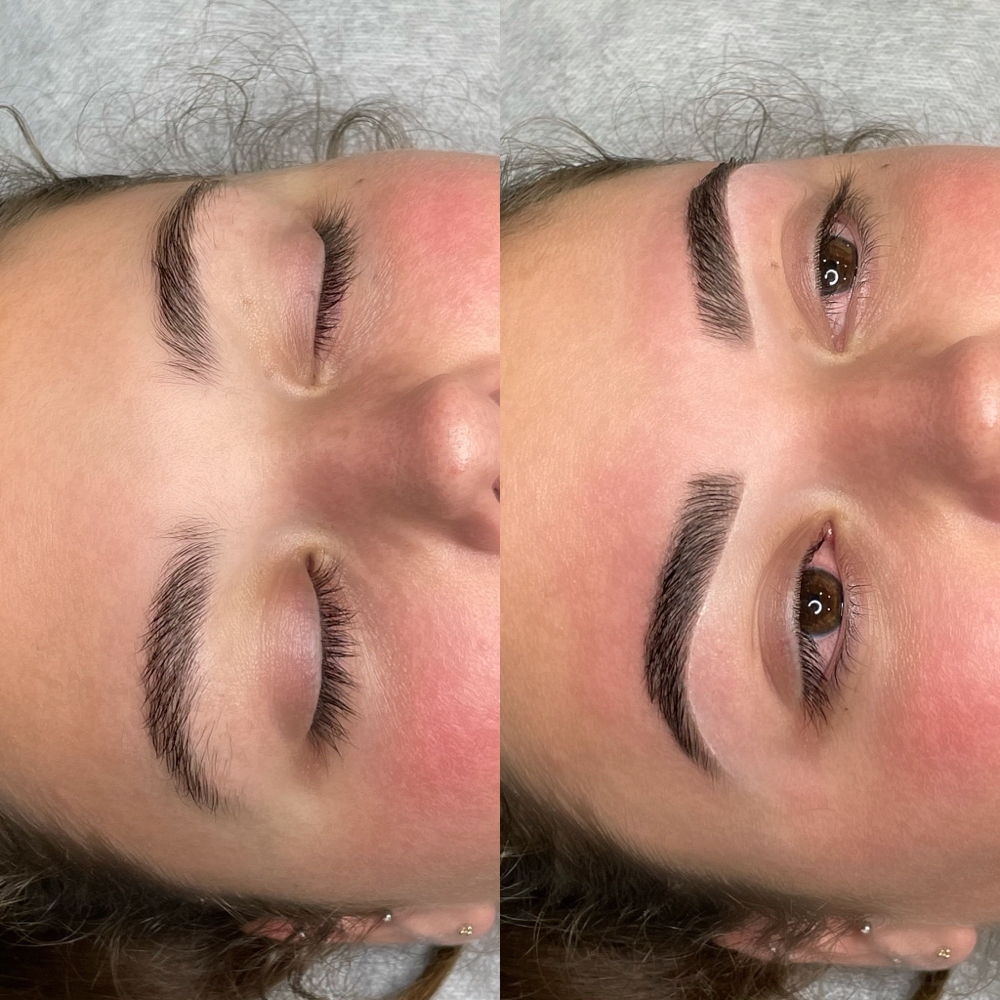 Tint & Wax Brows at Elevé Estudio in Belvidere, IL