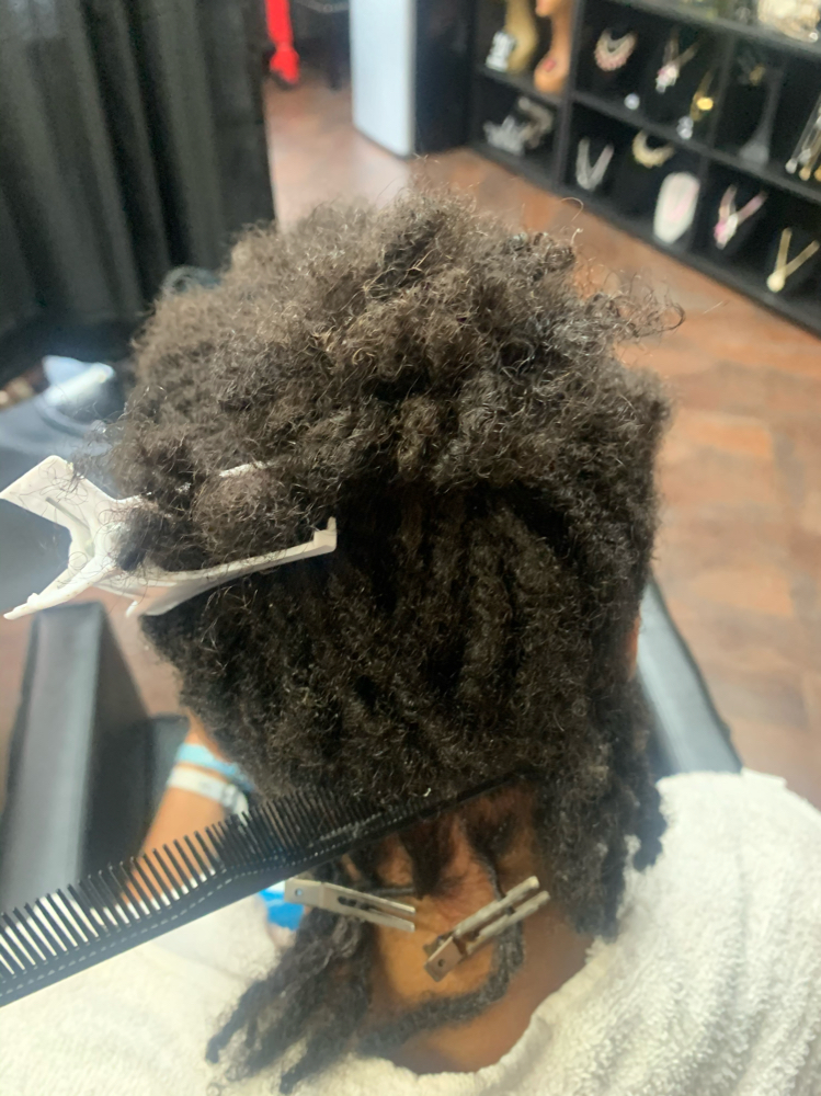 Adult Starter Locs