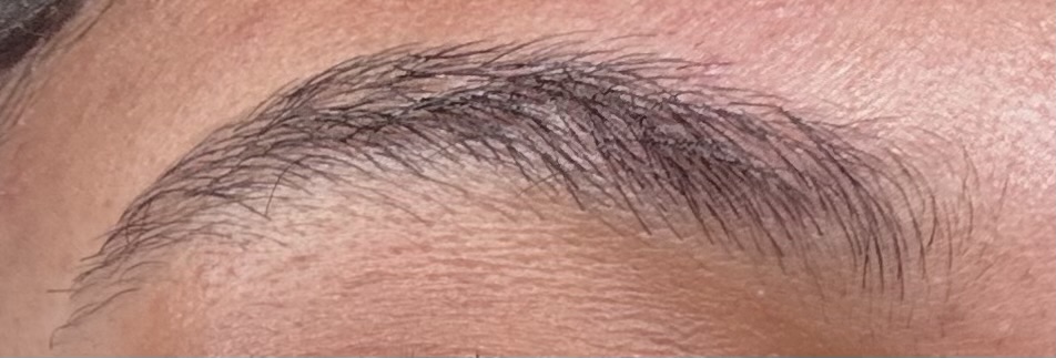 Wax & Shaping Eyebrows at MD LASH STUDIO in Vancouver, WA