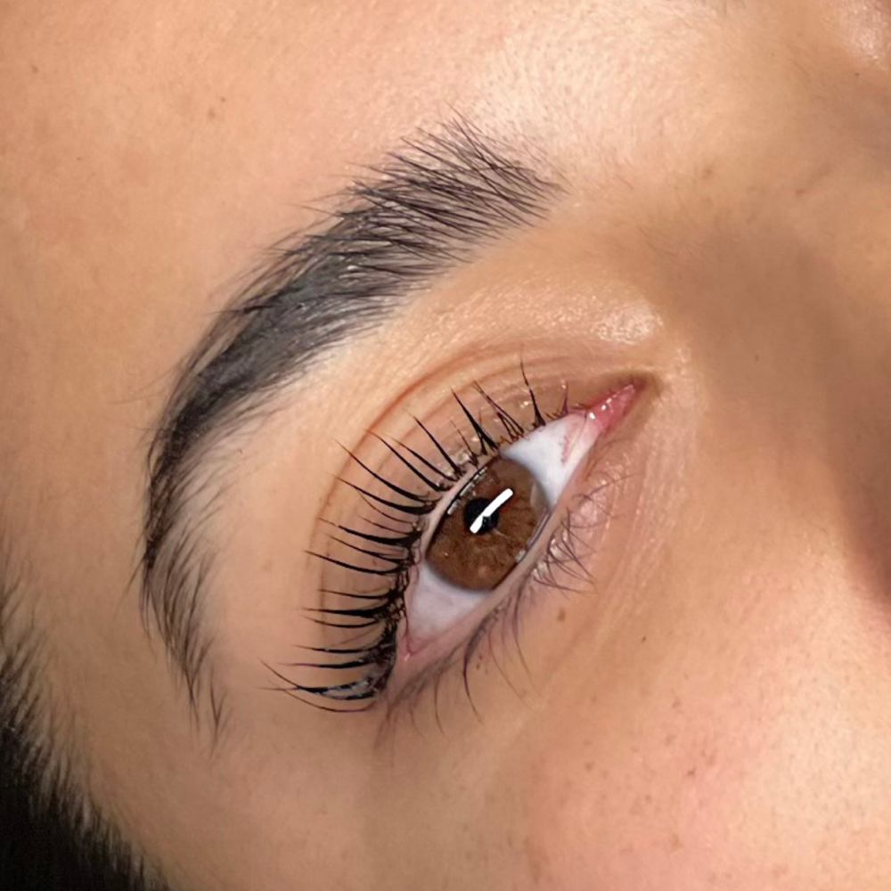 Lash Lift