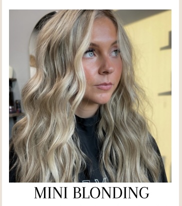 Mini Blonding