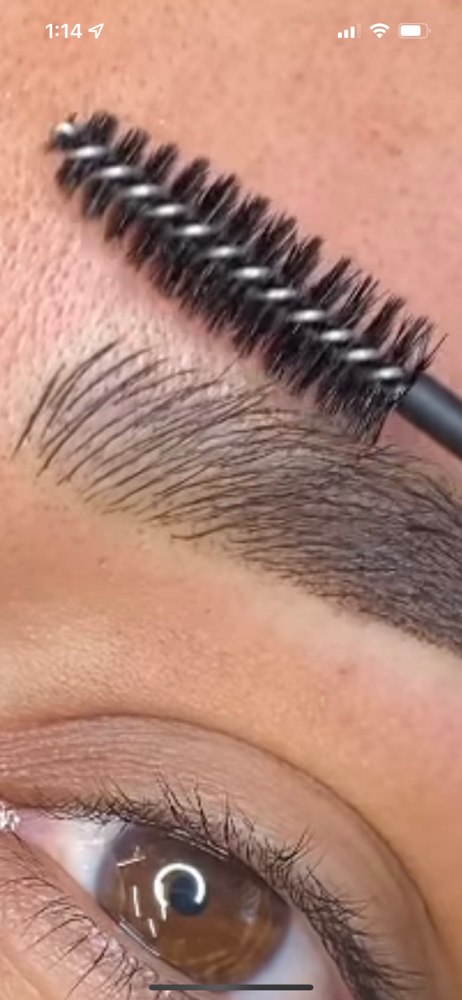 Combination Brows