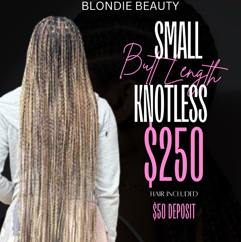 $250 Small Knotless (4/22-5/7)
