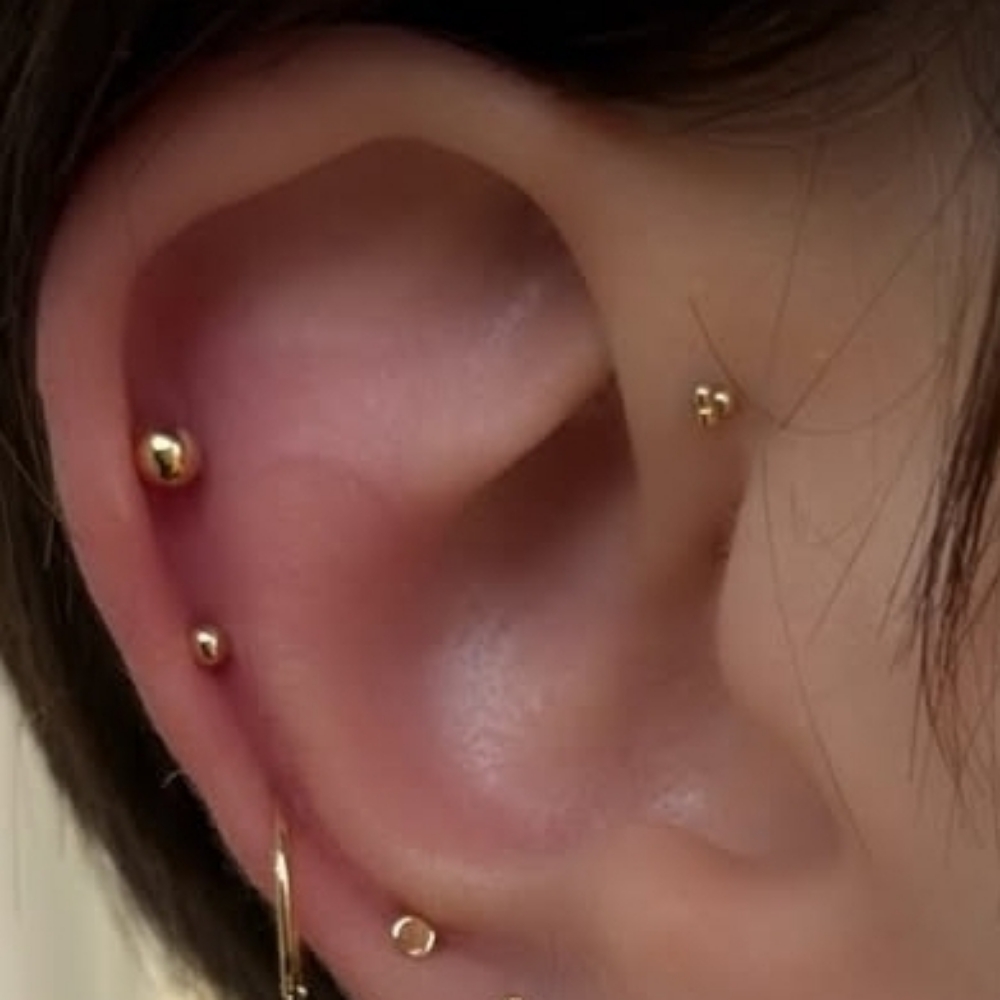 Forward Helix Piercing at Gilded Needle in BRENTWOOD, CA