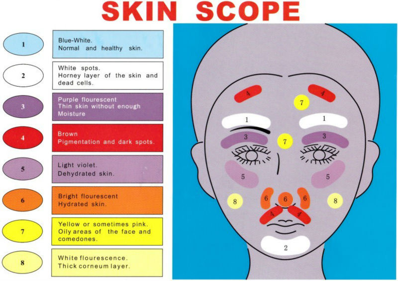 Skin analysis with facial