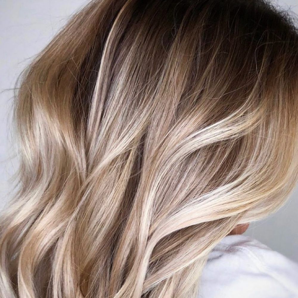 Blow Dry at Blush Beauty Bar West Palm Beach in Wellington, FL