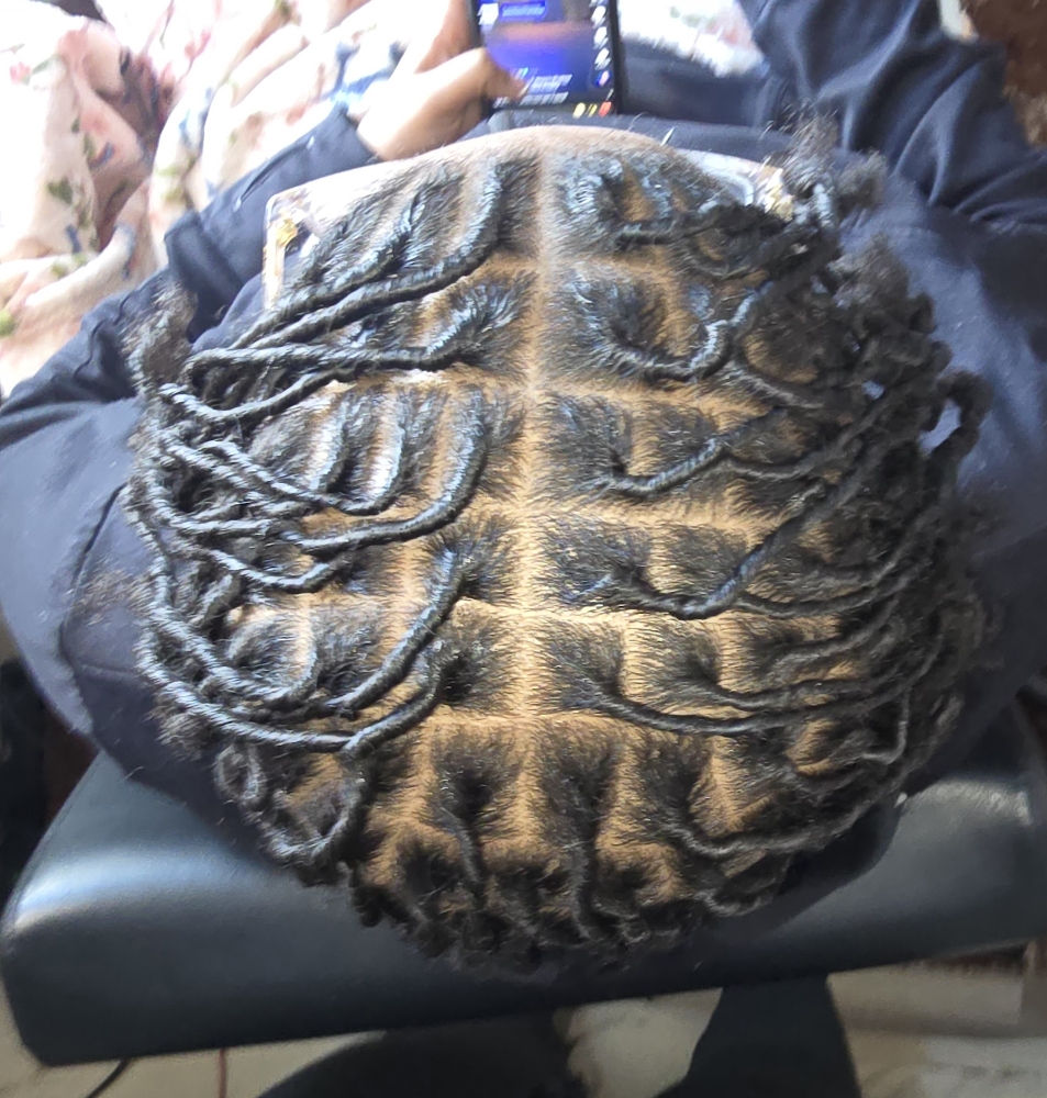 Starter Locs