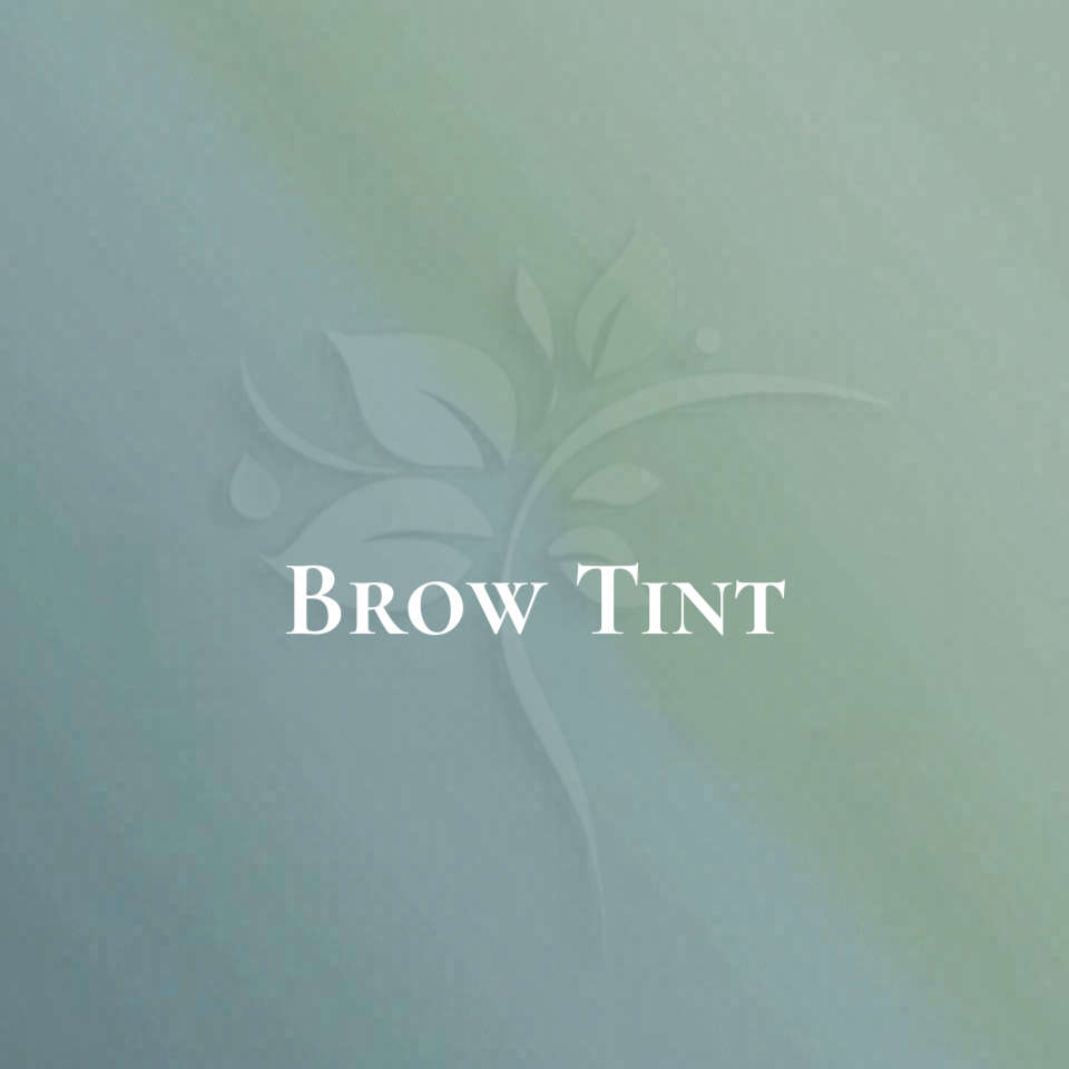 Brow Tint at Elysian Esthetics Spa in Loganville, GA