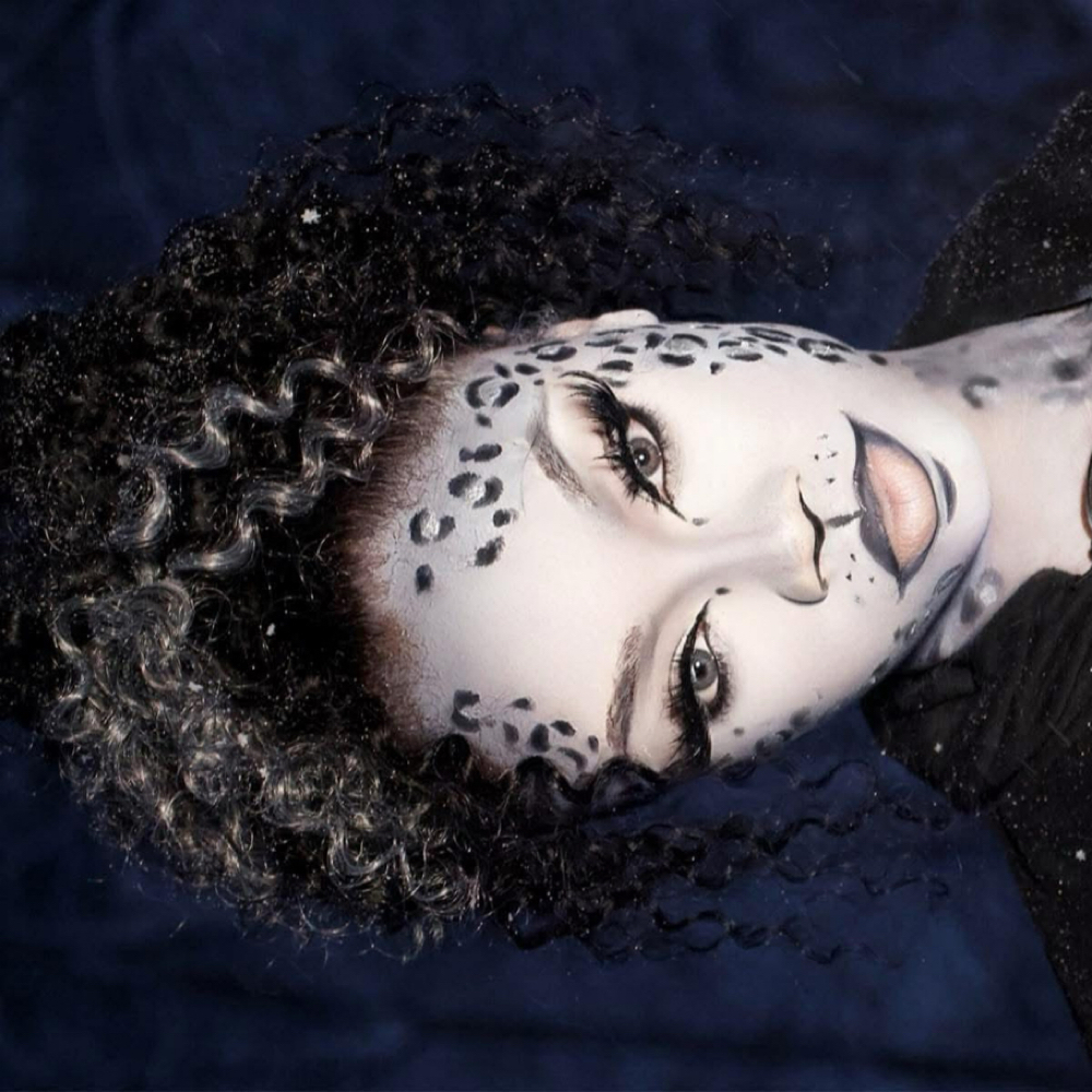 Full Face Creative Makeup at Rissa Looks Photo & Beauty in Morton, IL