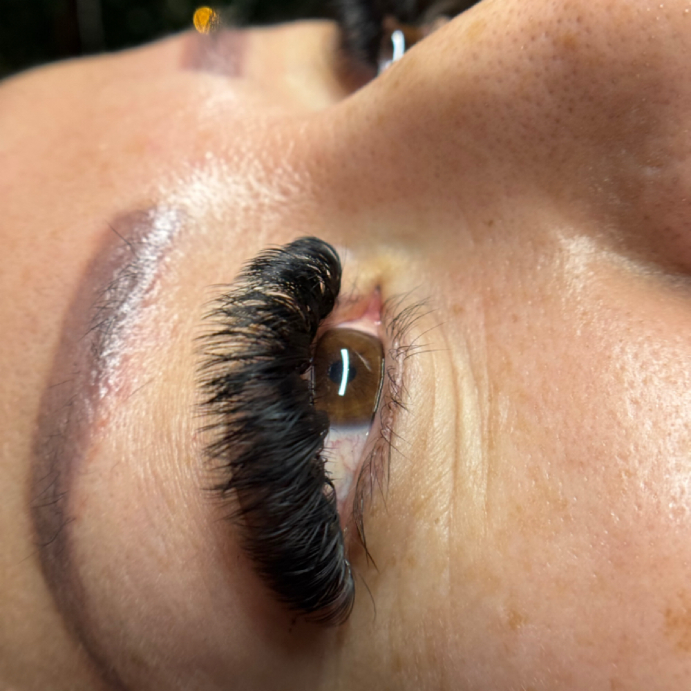 Volume Special (New Client Only) at Lash Princess By Tabby in Arlington, TX