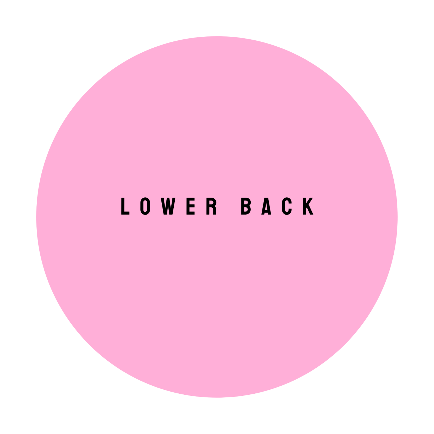 LOWER BACK at The Dollhouse Wax Studio in Smyrna, TN