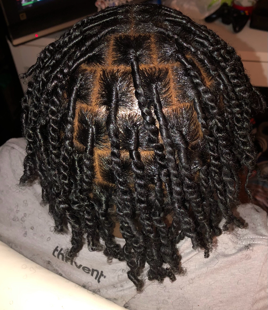 2 Strand Starter Locs at Eryka’s Hair Couture in Midlothian, IL