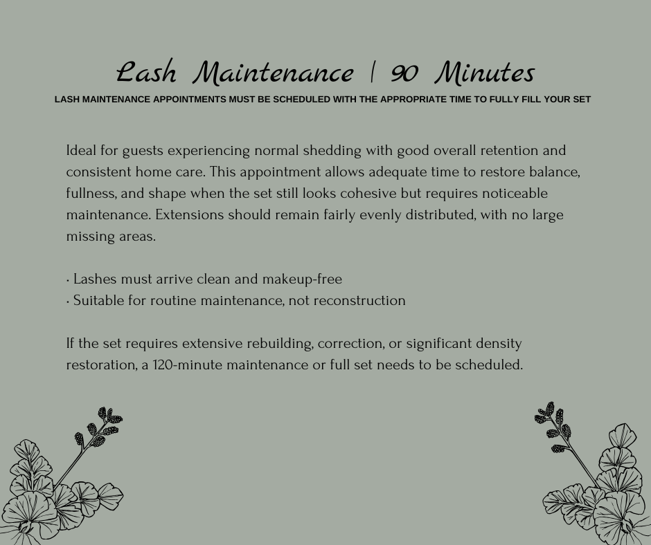 Lash Maintenance | 90min