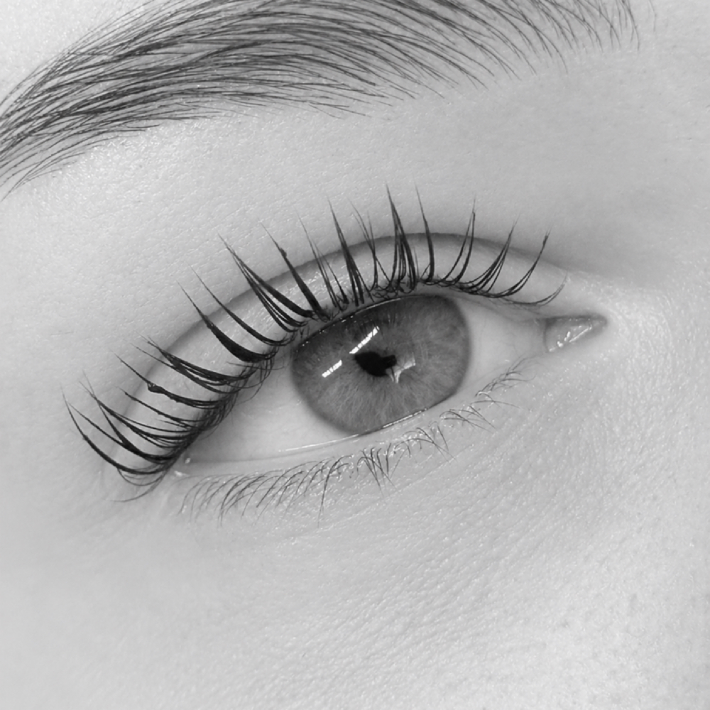 Luxe Lash Lift at The Lash Specialist in Warwick, NY