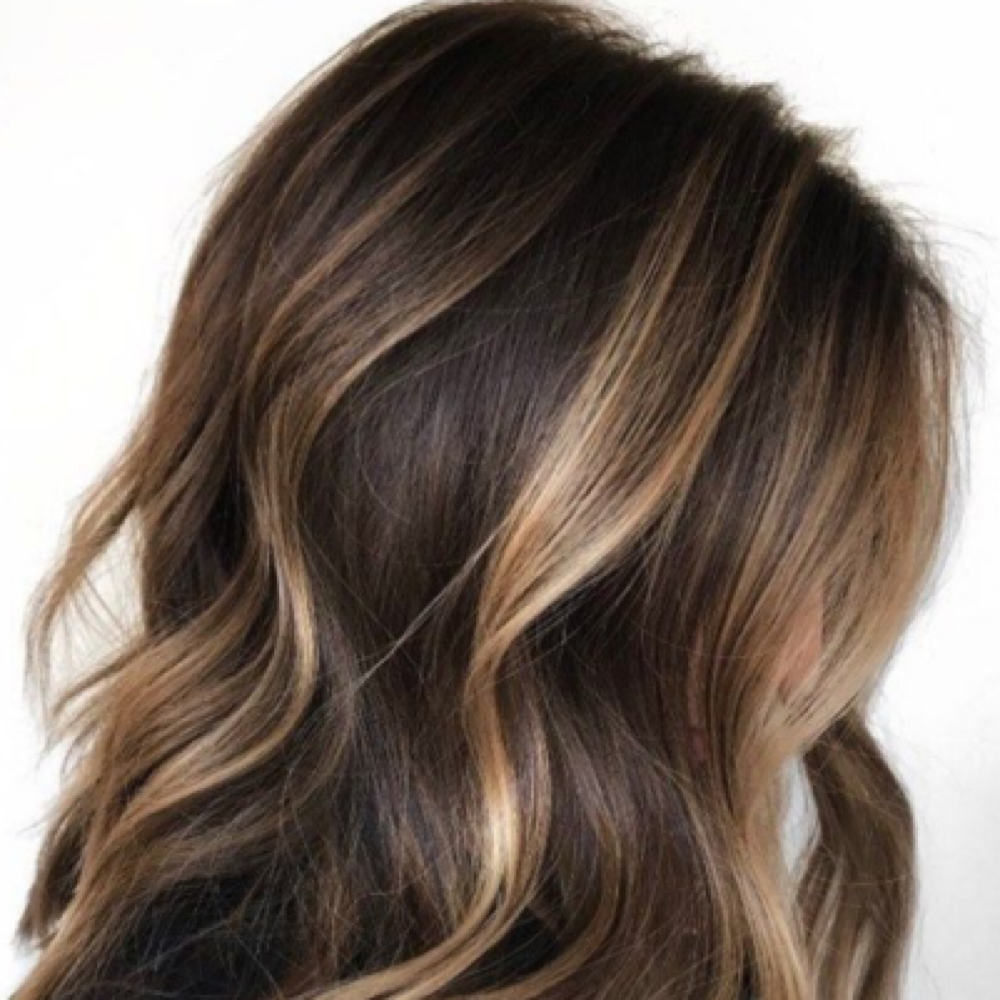 Root Touch Up + Highlight + Haircut at Melissa Neagle Chicago Hairstylist in Chicago, IL