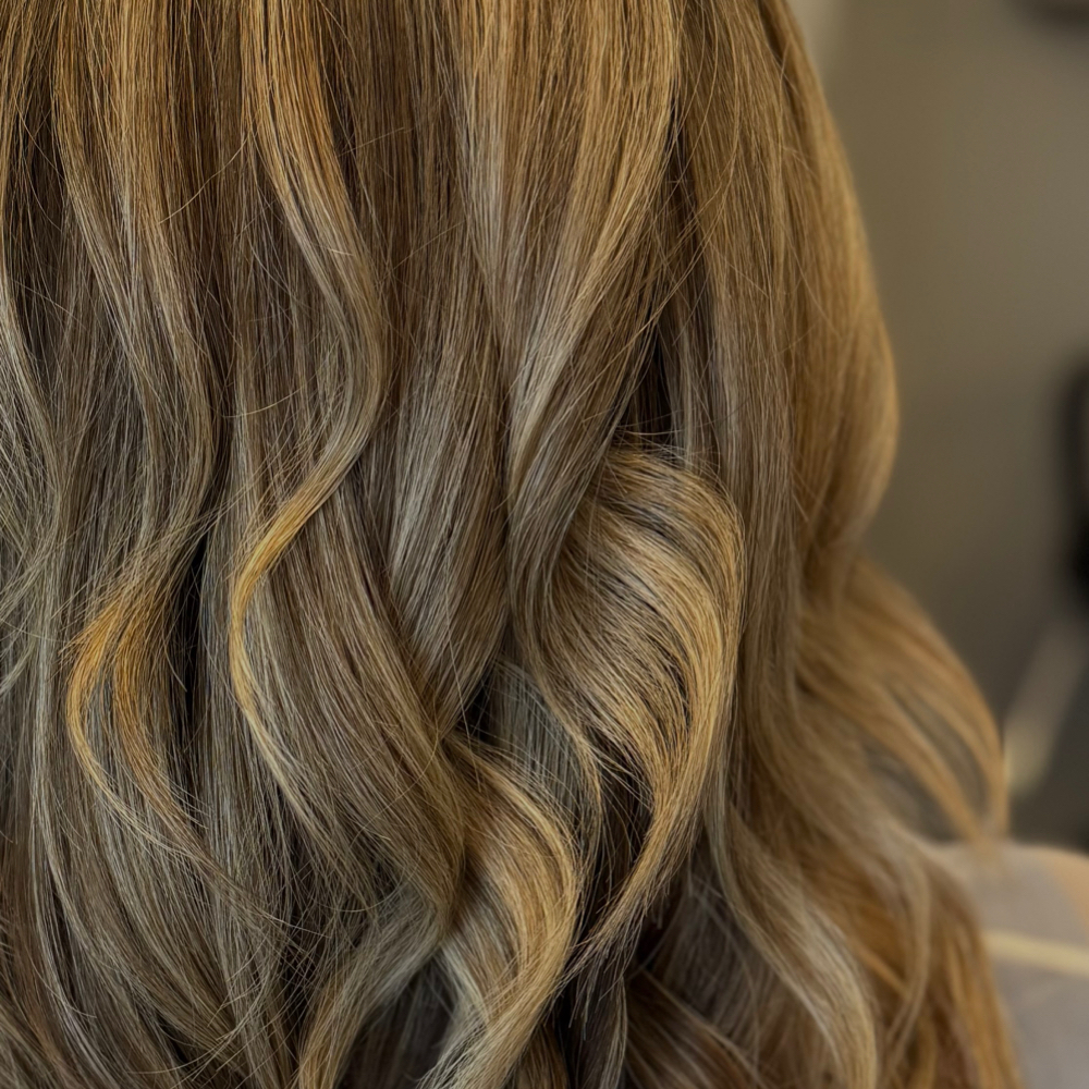 Partial Classic Highlights at Salon Dahlia in Brandon, FL