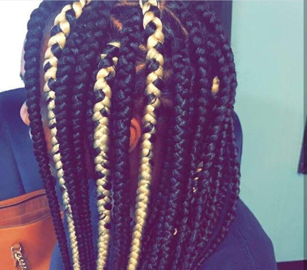 Box Braids Big/Jumbo Mid Back