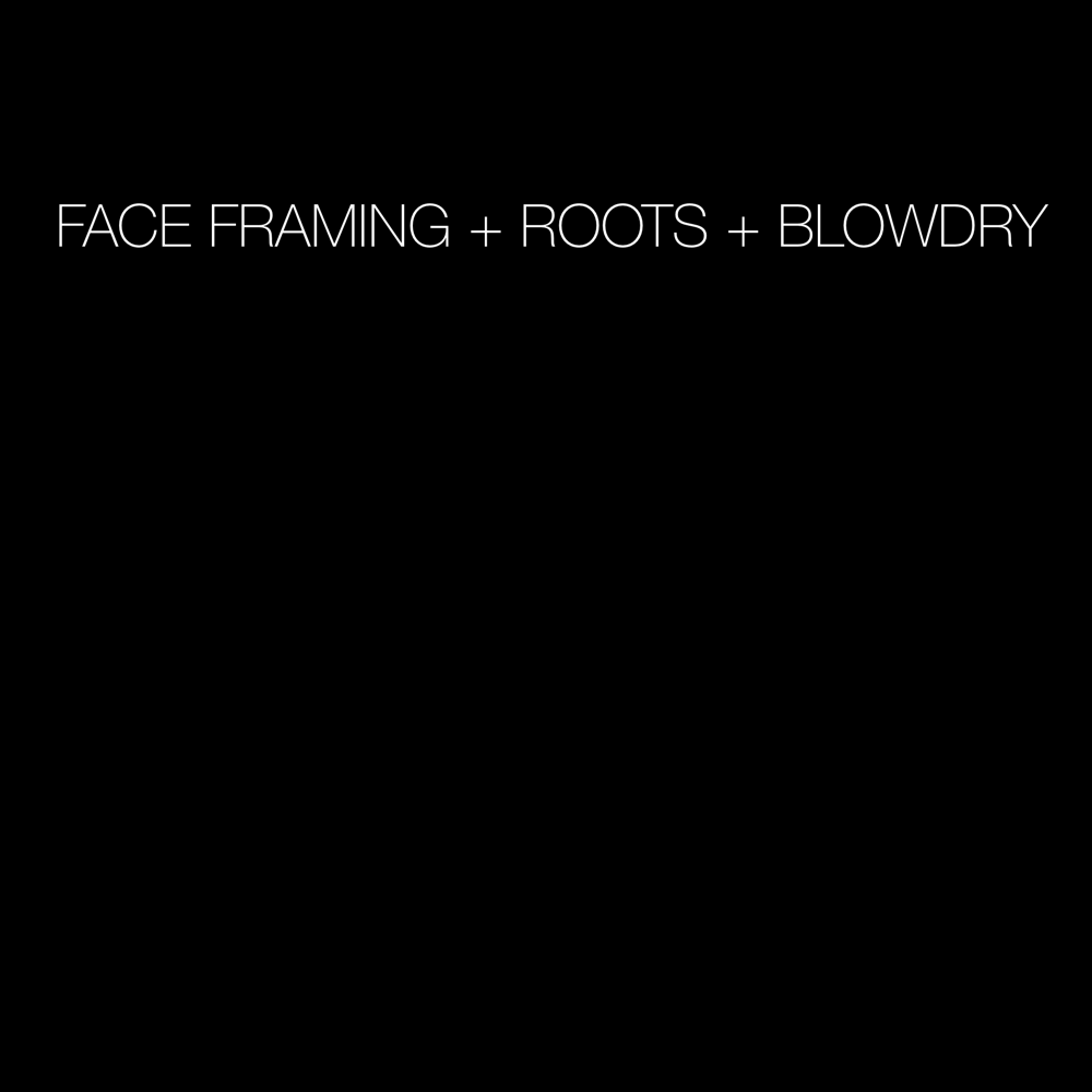 Face Framing + Roots + BDry