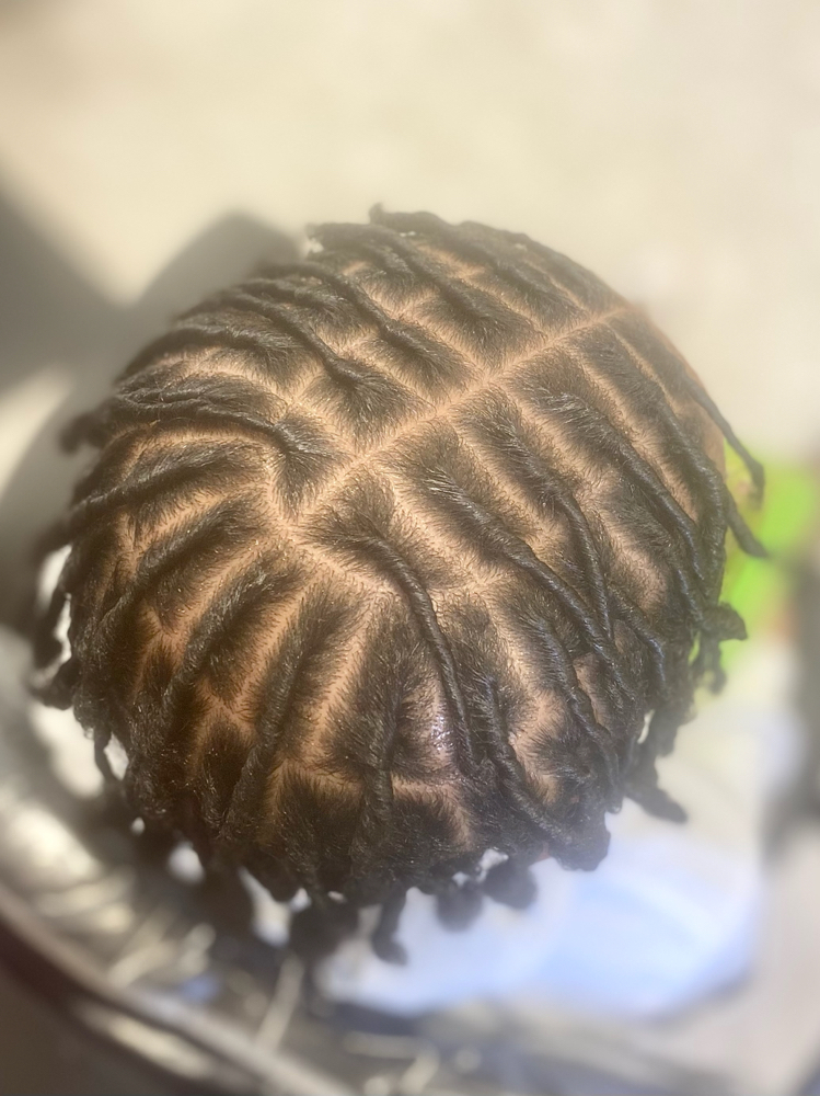 Starter Locs