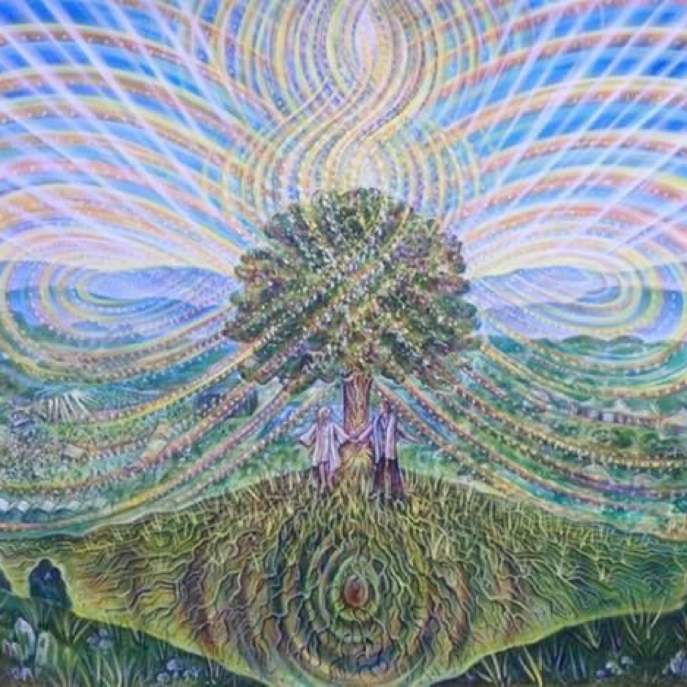 Head 💆🏻‍♀️Massage/ Scratching at Iris Aura Sanctuary ✨👁️🌈 in Rochester, MI