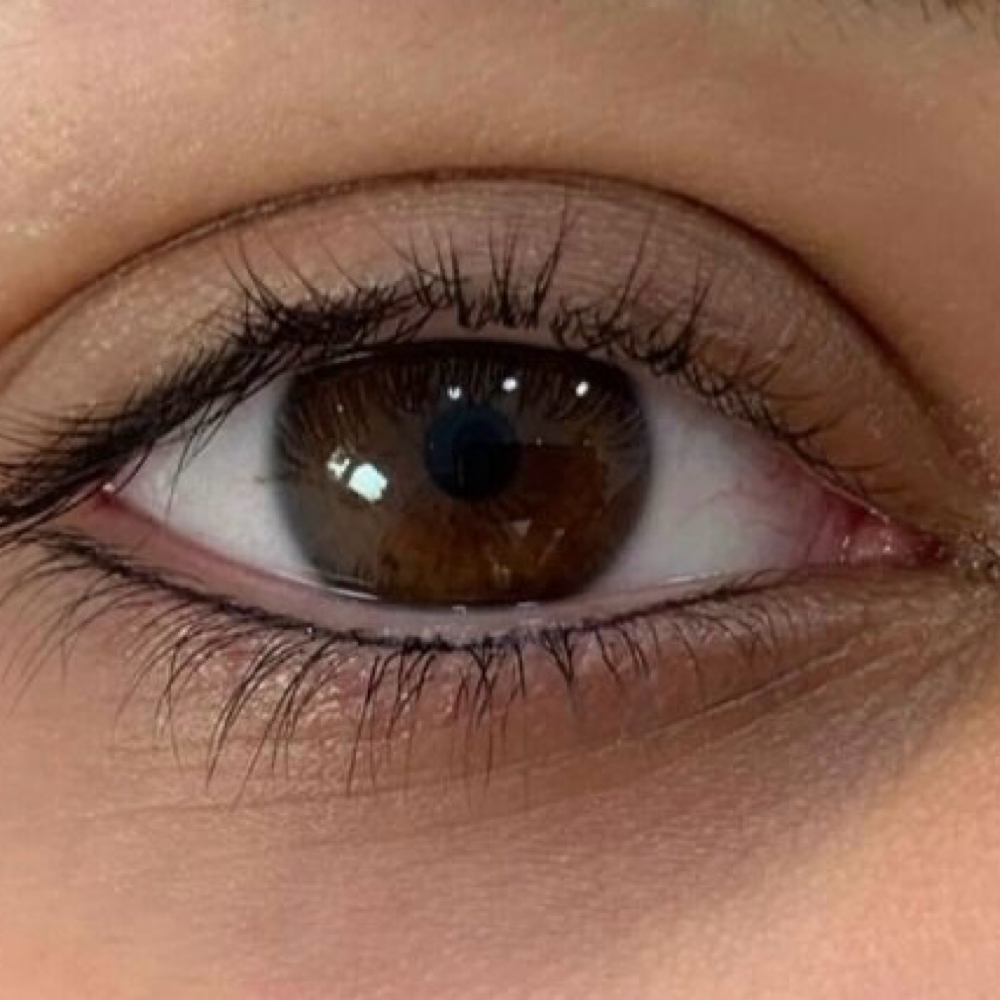 PMU Lower Eyelids at Vella Skin Co. in Phoenix, AZ