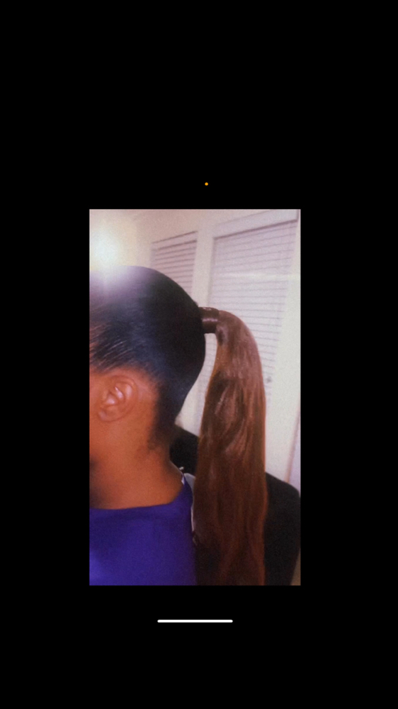Silk Ponytail