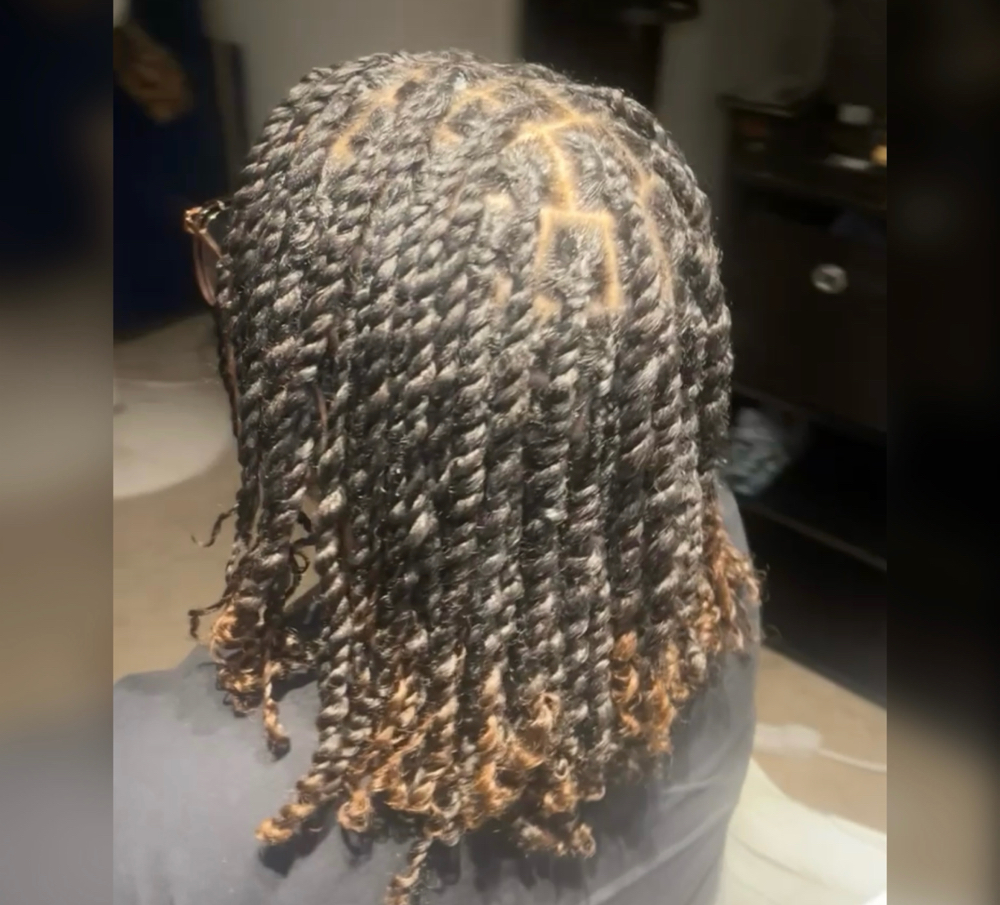 Natural Hair Twist
