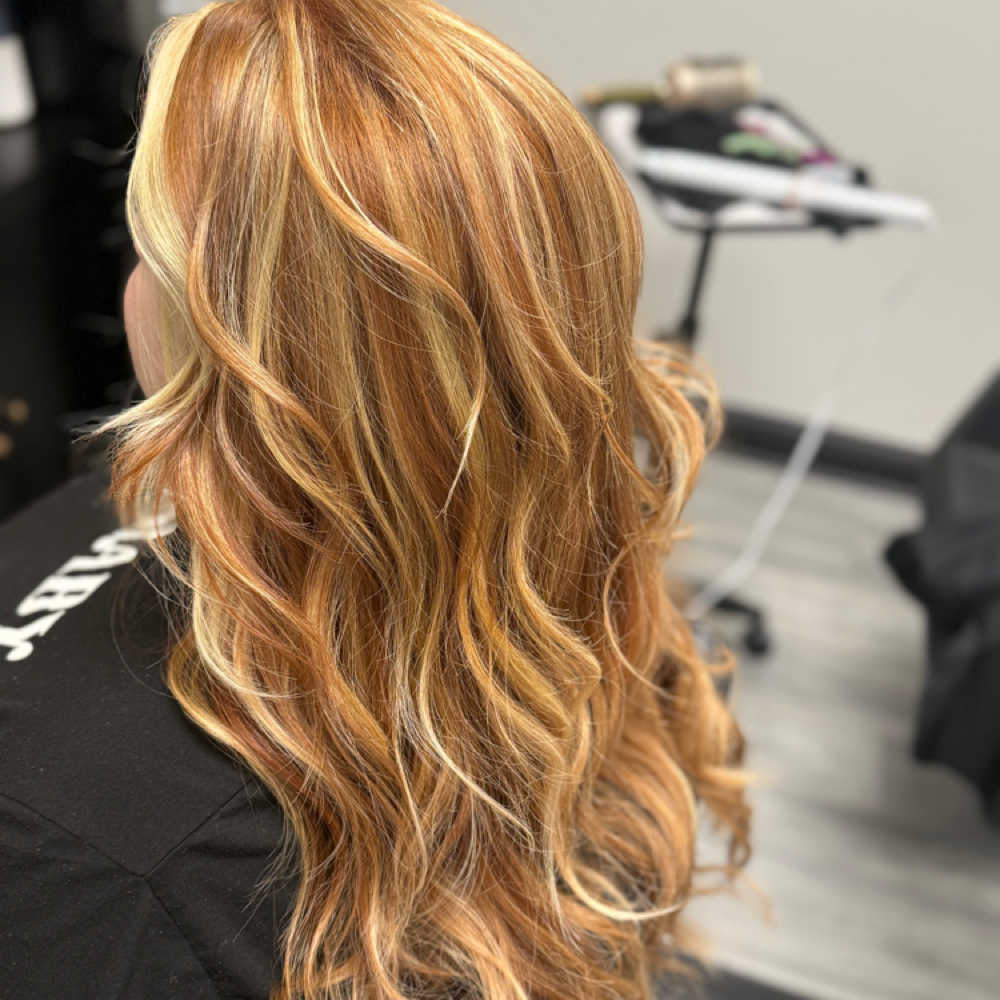 Standard Full Highlights at Dani Baco in Rockwall, TX
