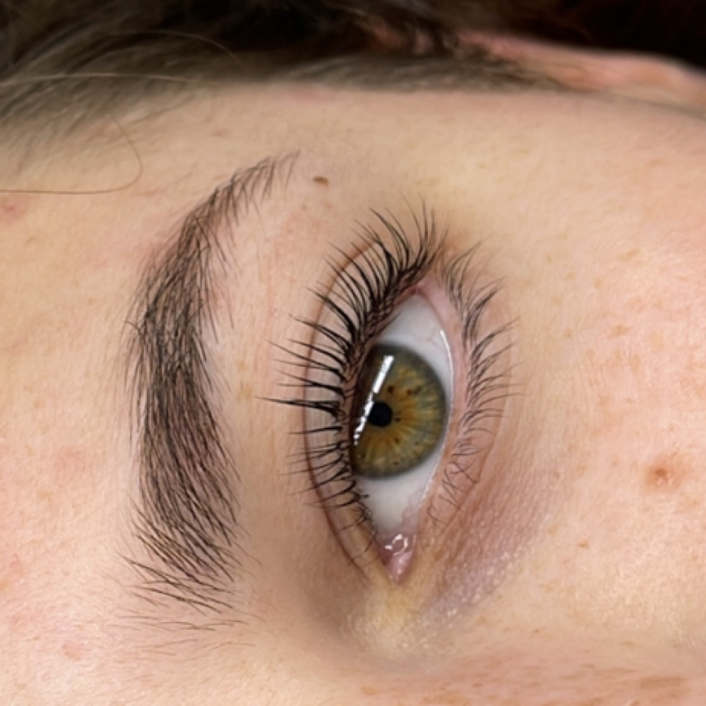 Korean Lash Lift & Tint at ILB Esthetics in Union City, CA