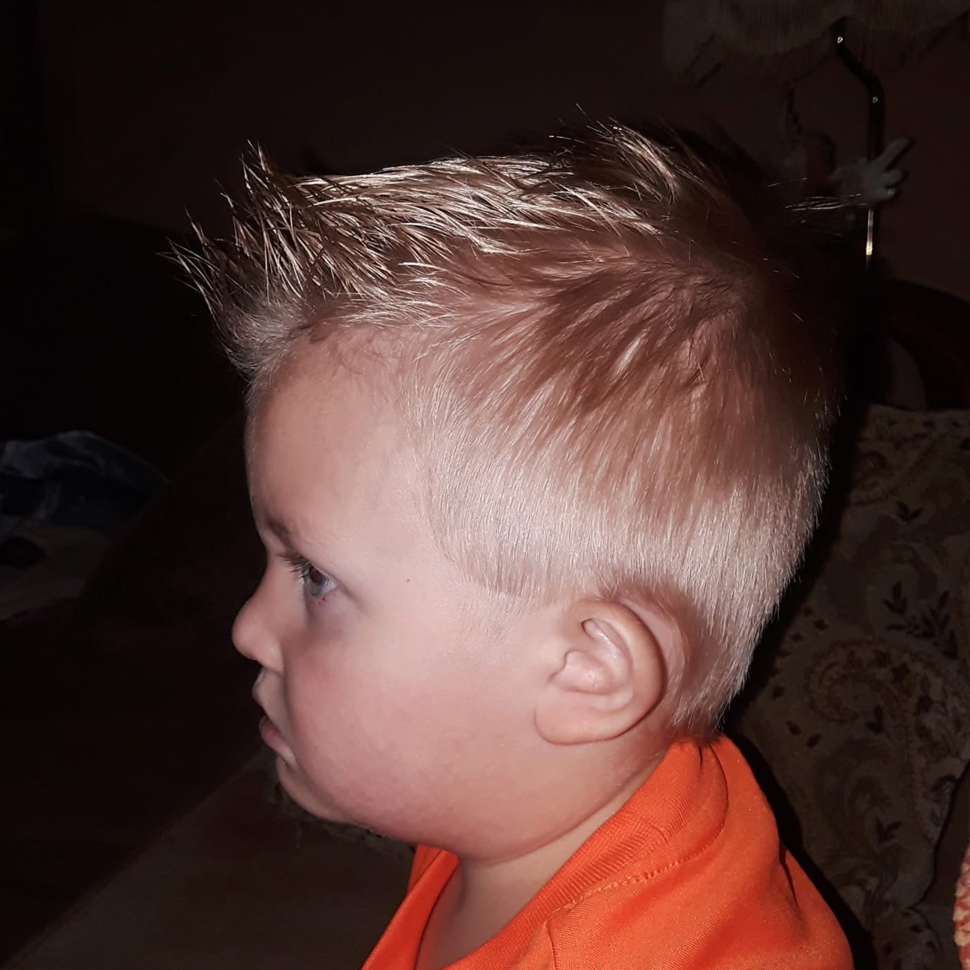 Boys Haircut (Ages 1-12) at Buckwild Beauty | Backwoods Hair in Morristown, TN