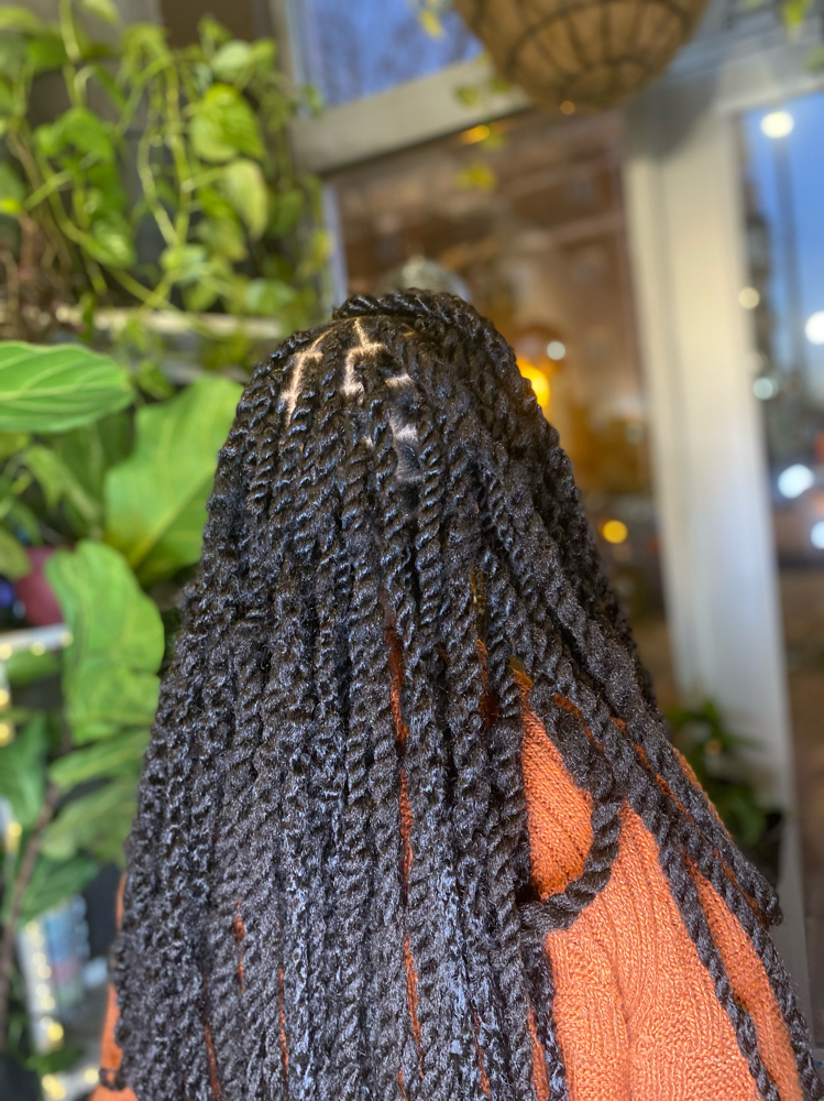 Two Strand Twist Styles