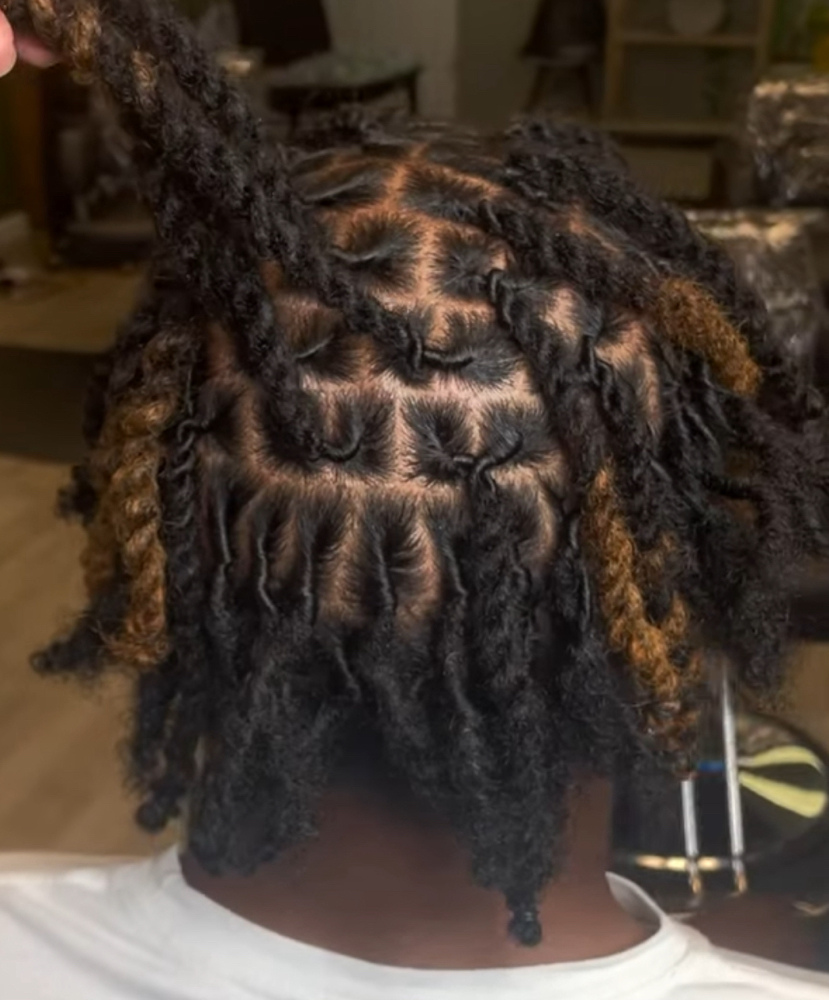 Starter locs (BACK + SIDES)