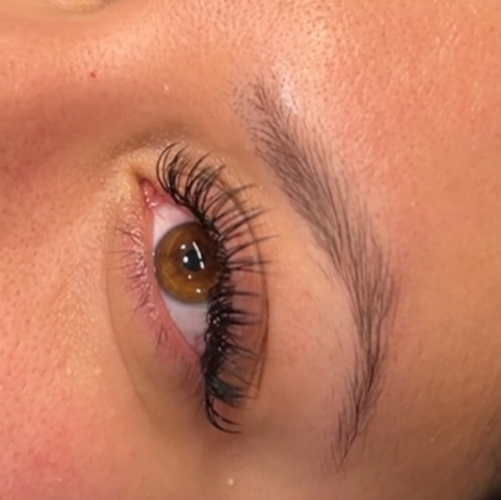 Wet Set Lashes at Wink with Andy in Hammond, IN
