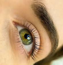 Lash Tint