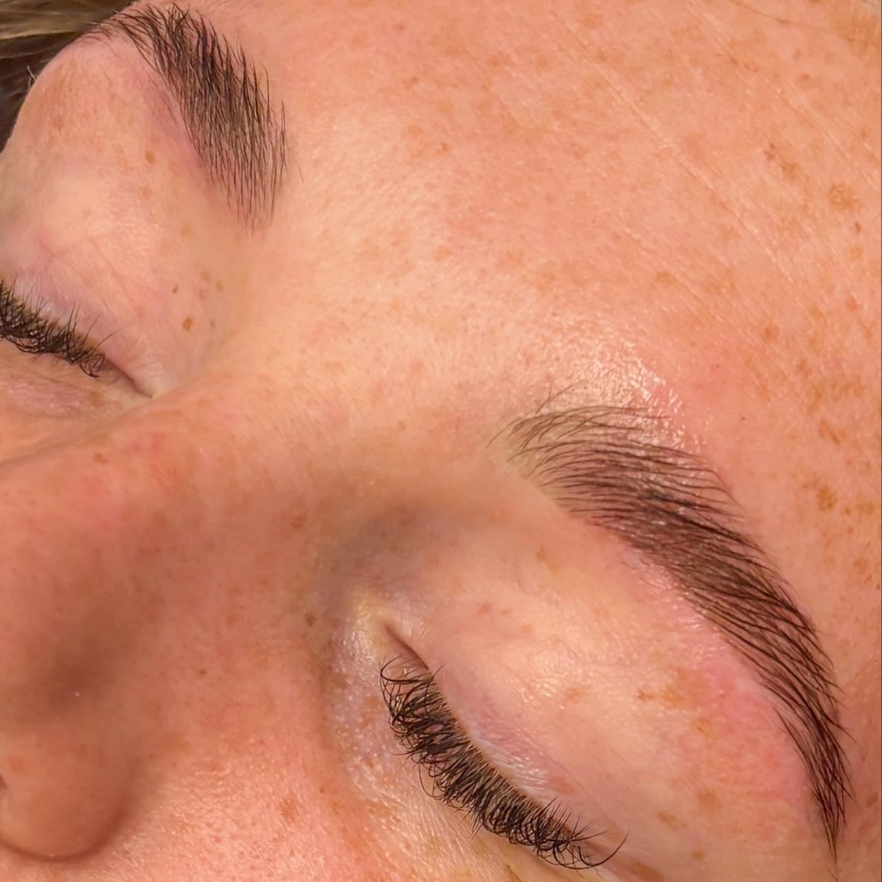Brow Wax and Lamination at Precision Salon and Spa in Cedar Falls, IA