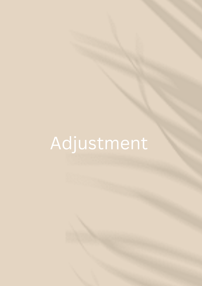 Adjustment