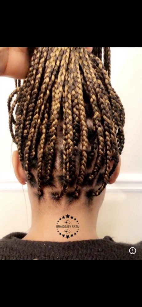 Medium Box Braids