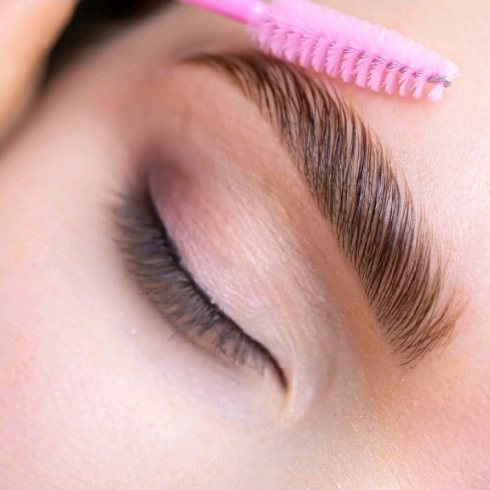 Brow Consult + Wax at Muse Beauty Bar in Downingtown, PA