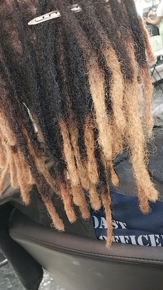 Starter Locs With Extensions