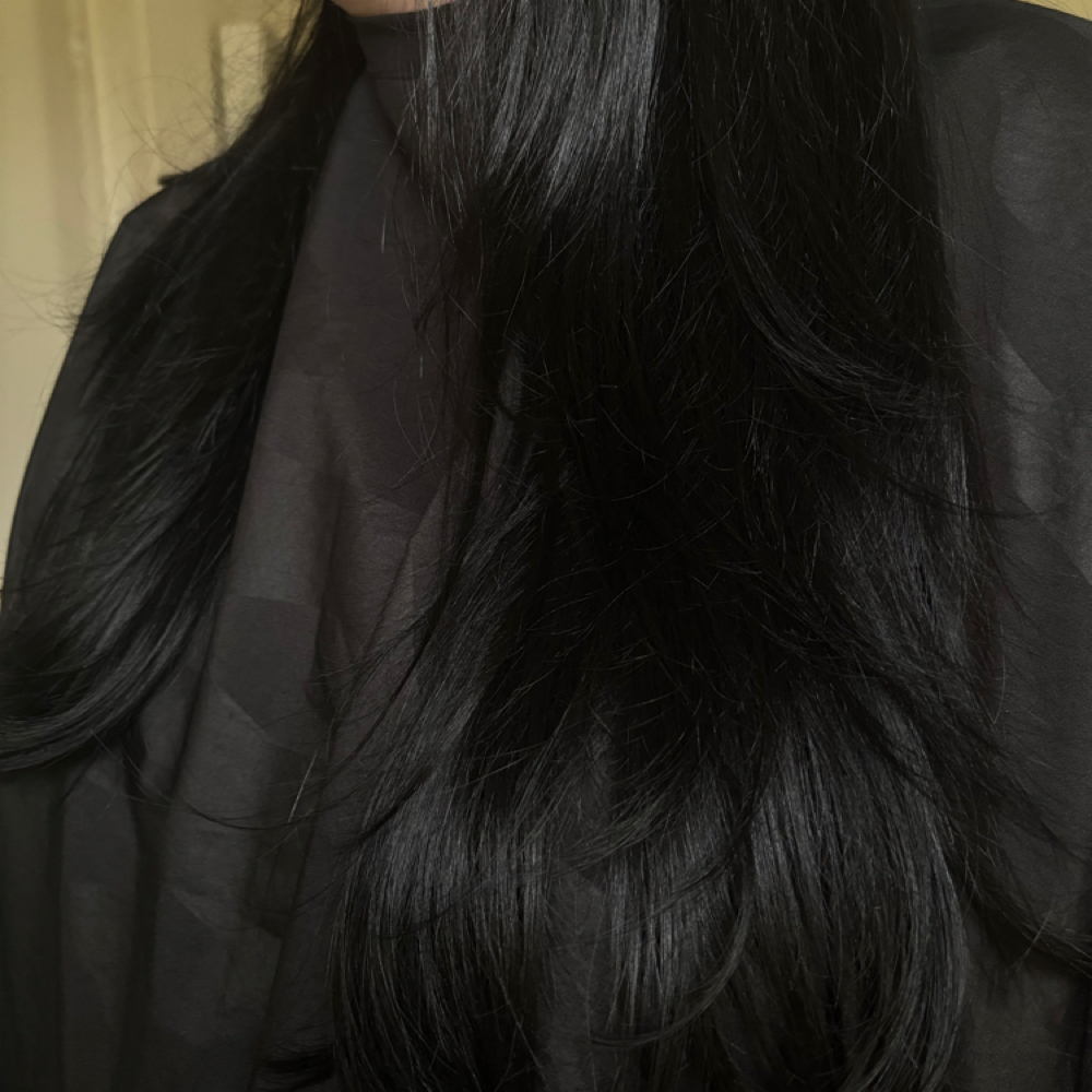 Full Color Experience at Everly Beauty Co. in Indian Trail, NC