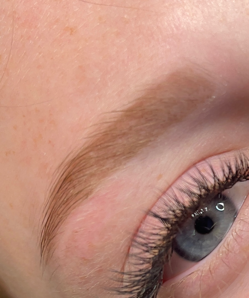 Brow Wax & Tint