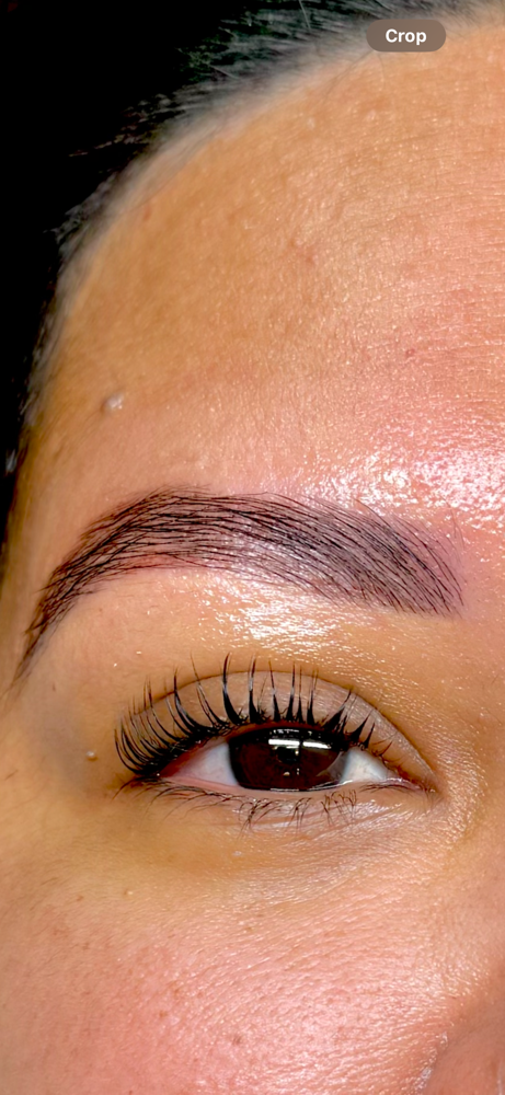Brow Sculpt + Tint